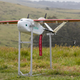 Image for article titled Here's the Smartest Drone Delivery Idea We've Seen Yet